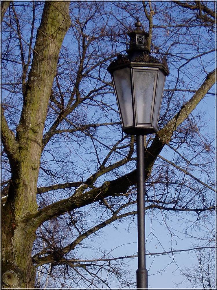 lantern