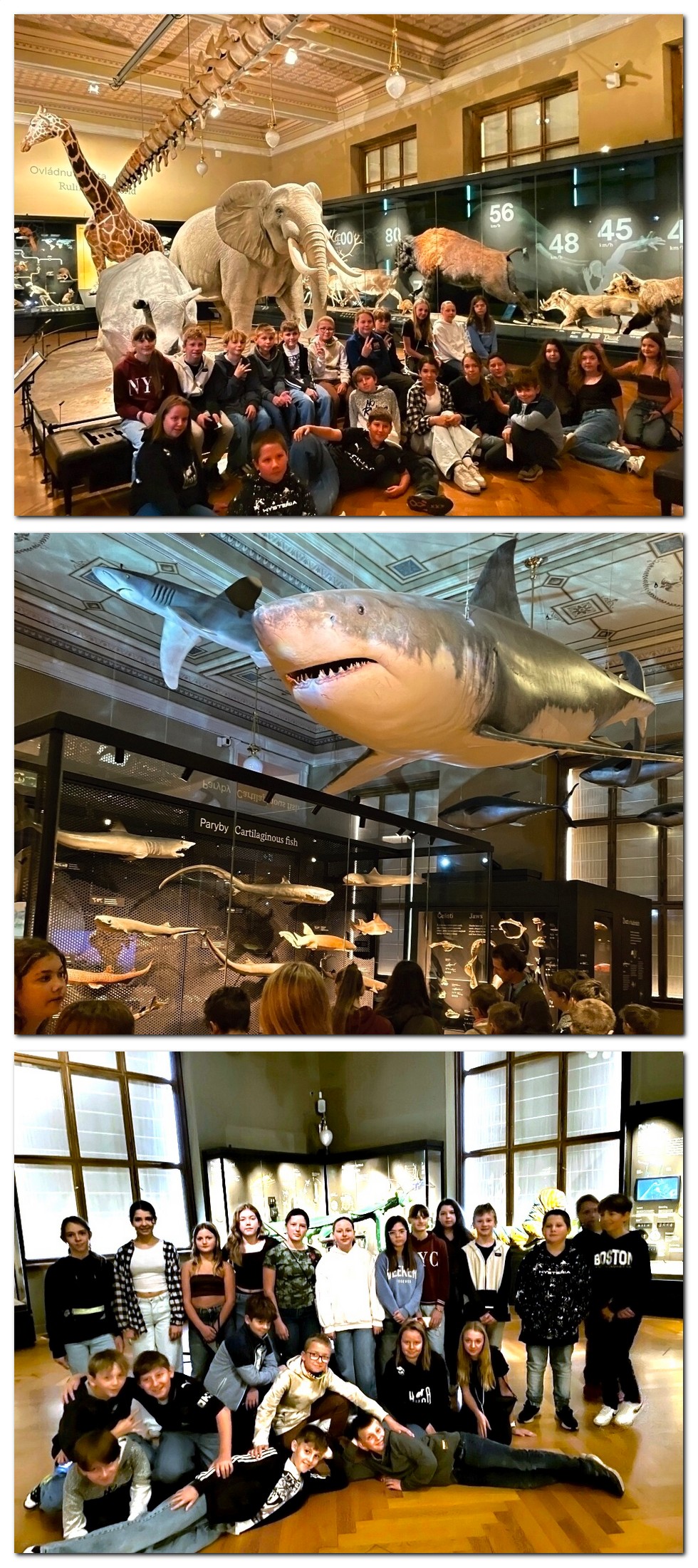 National museum Prague 6 2025