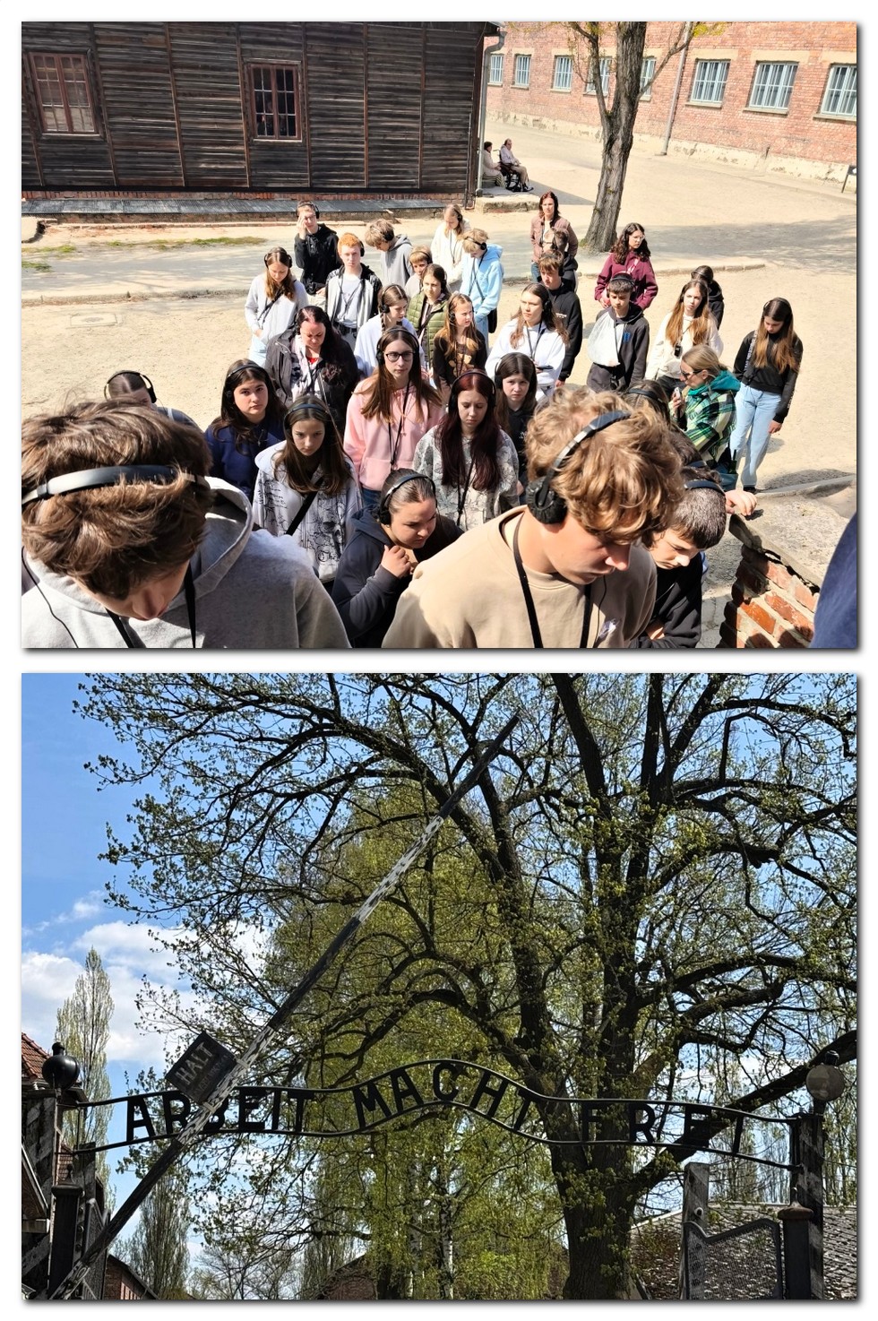 Osvetim Brezinka 2026 B